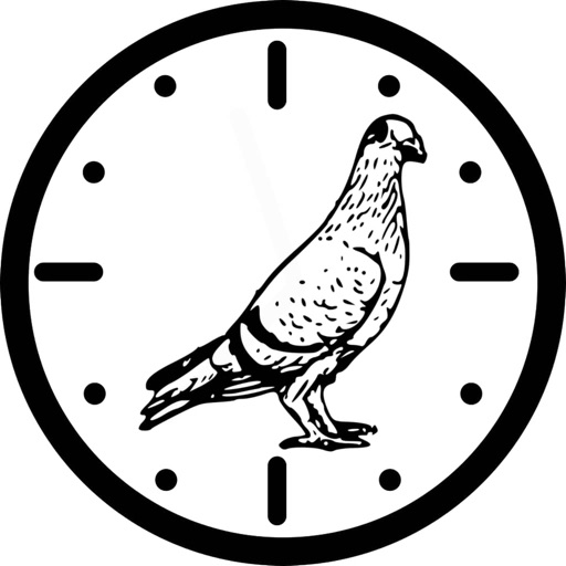 Pigeon Velocity Calculator by Adam Archer