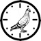 A velocity calculator for pigeon racing