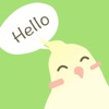 BirdTalker-Teach bird to talk