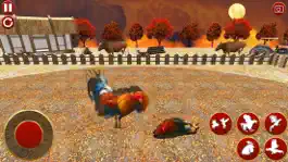 Game screenshot Street Rooster Fight Kung Fu hack