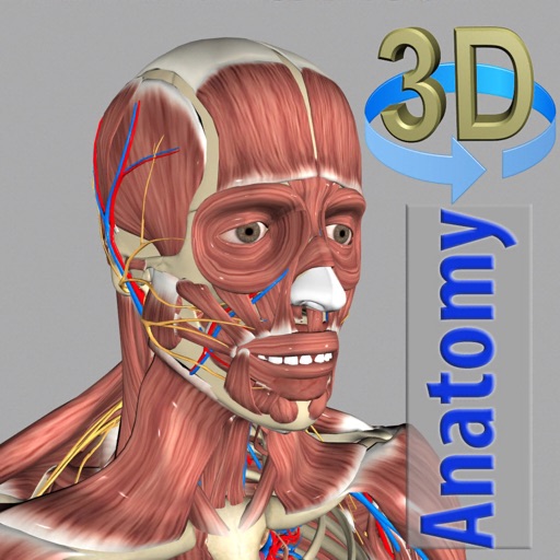 3D Anatomy5.4