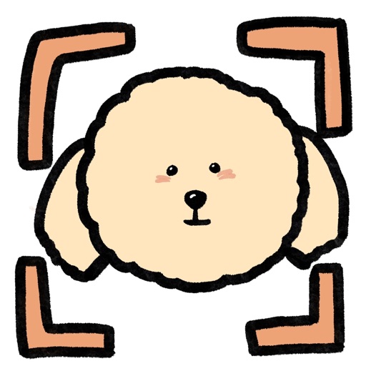 양양아 어디가 - 반려동물 찾고 찾아주기