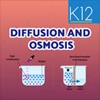 Diffusion and osmosis