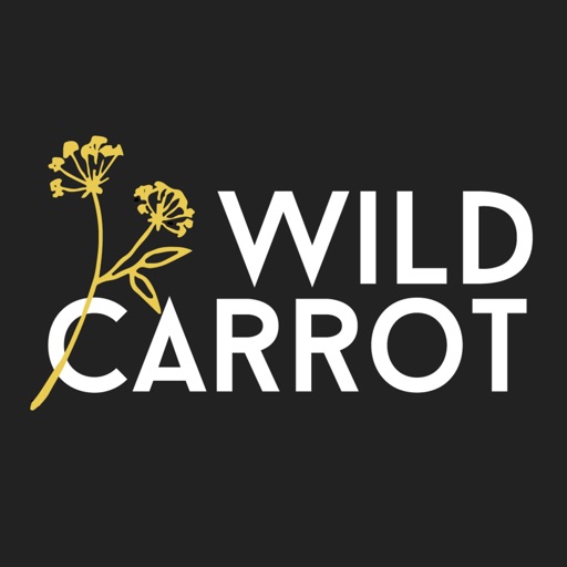 Wild Carrot