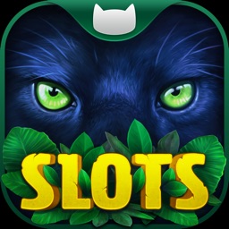 Slots on Tour - Wild HD Casino