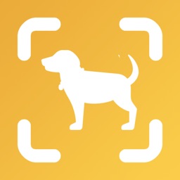 Dog Scan icon