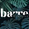 Download the Barre Milwaukee app to easily book classes and manage your fitness experience - anytime, anywhere