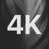 4K Black Wallpapers