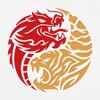 Dragon Tiger Noodle Co