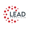 Lead Yorkville