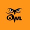 Icon Anime Owl - watch anime online