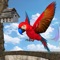 My Pet Parrot Simulatorアイコン