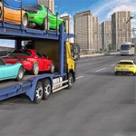 Car Transporter Truck Driver