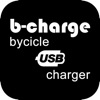 b-charge