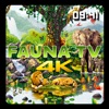 Fauna TV