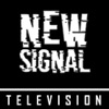 NewSignal Tv