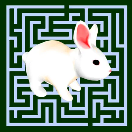 Maze Escape: Rabbit Runner Читы