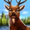 Look after wild animals and nurse them back to health: in WildLife - America you can care for animals from the North American wilderness, cure their illnesses and tend their injuries so that they can move to new homes with new owners or be released back into the wild