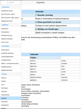 Game screenshot Russische Grammatik für iPad mod apk