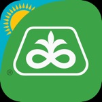 Каталог Pioneer Kazakhstan