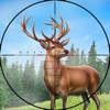 Wild Animal Deer Hunting