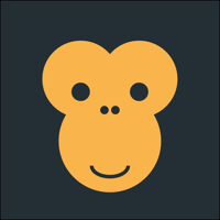 Chimp Memory
