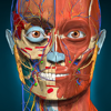 Anatomy Learning - 3D-Anatomie 