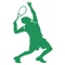 App personalizzata del sistema di prenotazione campi EIS del Tennis Club Le Querce di Casorate Sempione Varese Italia