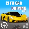 Car Driving Simulator 2023