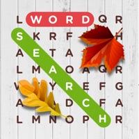 Contact Infinite Word Search Puzzles