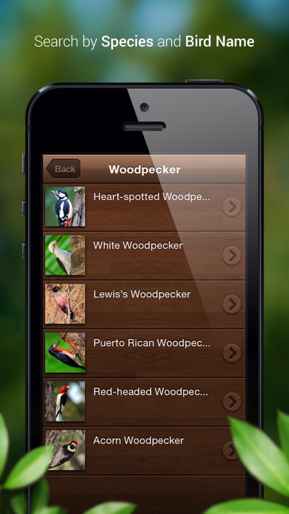 Bird Songs - Bird Call & Guide screenshot-4
