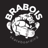 Brabois Skateboarding