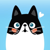 Katzen Übersetzer Miau Sprache app funktioniert nicht? Probleme und Störung