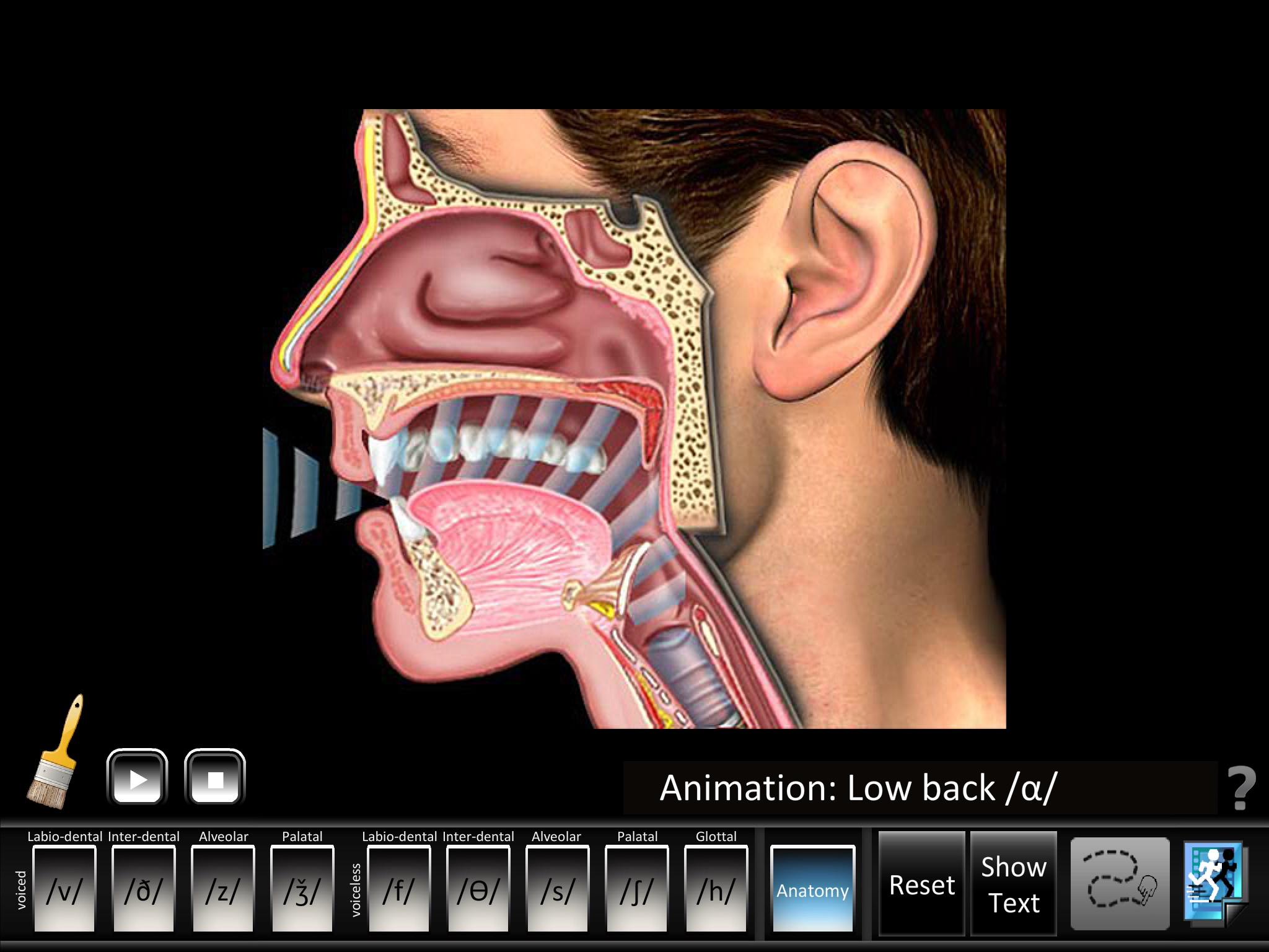 Fricatives screenshot 4