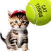 Cat Tennis : Animal Tennis!