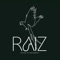 RAIZ brings together inspiration from barre, yoga, HIIT, gymnastics, and pilates to offer an all-encompassing array of movement & workout classes