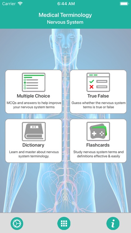 Nervous System Medical Terms