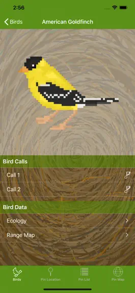 Game screenshot Word of the Bird apk