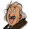 Einstein Sudoku is a logic puzzle game similar to Sudoku but using picture icons instead of numbers