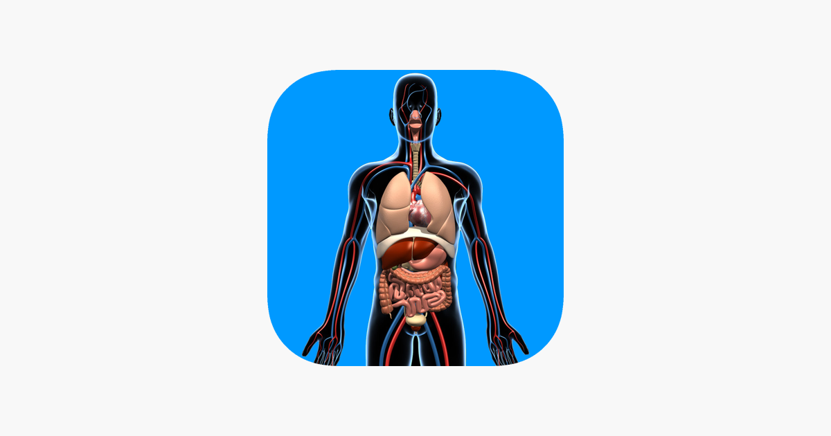 ‎Human Anatomy Quizzes on the App Store