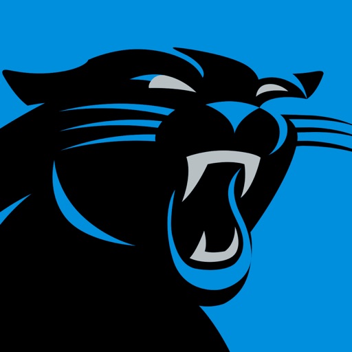 The Carolina Panthers Released A 'Mixed Reality' Panther Video