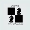 Chess Mate Puzzle