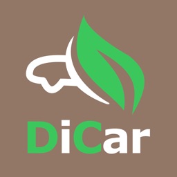 DiCar