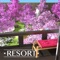 Icon Escape game RESORT5 - Sakura