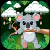 Save Koala From Rain