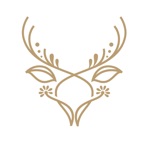 Aile Perfumes