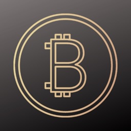 BitcoinTrade Crypto Tracker