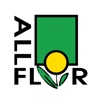 ALLFLOR