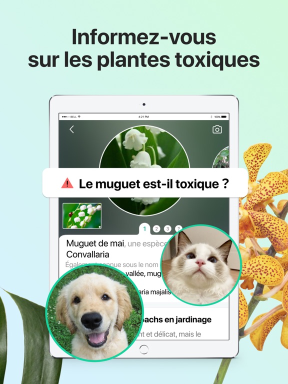 PictureThis-Identifier Plantes PictureThis-Identifier Plantes