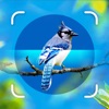 Bird Identifier - Bird ID - iPhoneアプリ